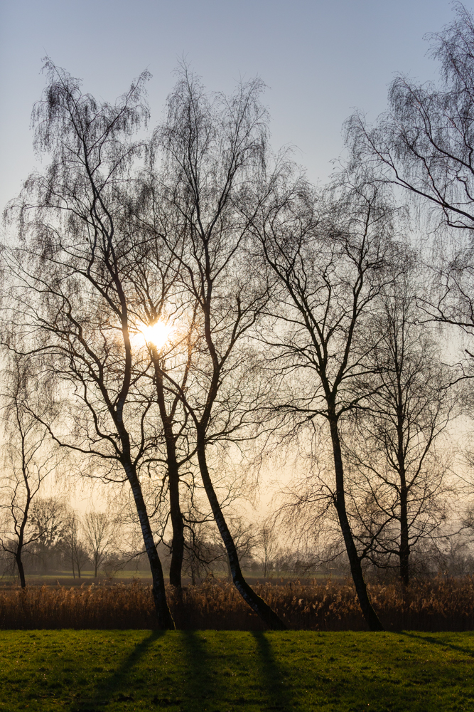 Lauteracherried im Jänner 85